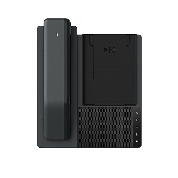 Telefon IP Fanvil DB20-H All-in-one Phone Station